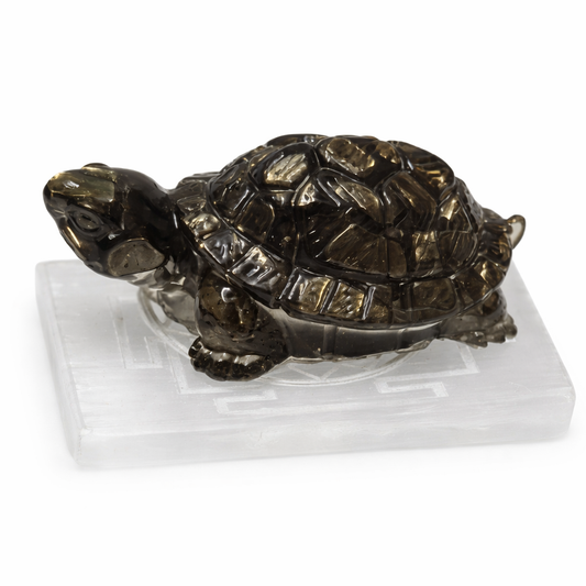 Crystal Tortoise for Wealth, Stability &amp; Positive Energy